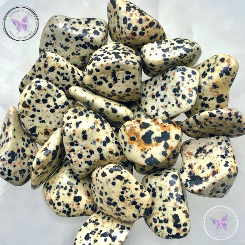 Dalmation Jasper Tumble Stone